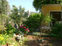 Lefkas house with garden