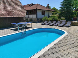 Pool village house Breznica