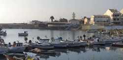 casAmare