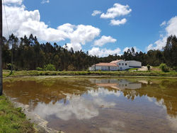 Quinta do Vale Vendeiro