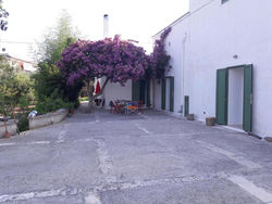 Fra il Glicine e il Sambuco