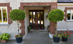 LittleField B&B Durrow, Laois