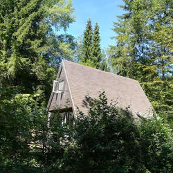 Chalet in de Ardense bossen