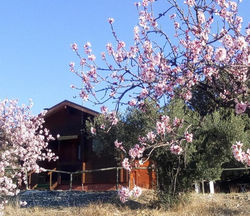 Casa La Colina Mandarina I