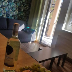 MJ Apartament Kamienna Wisła