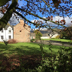 Lapwing Cottage