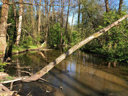 Roztoczańskie Chatki