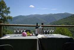 Auberge Les Myrtilles