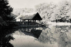 Zarah Tanya with a private lake and forest