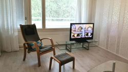 4 km to the Jyväskylä city center, cute apartment with free parking