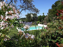 Gîte en Provence 