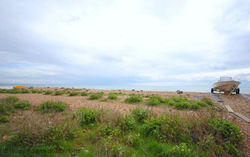 Marie's Cottage, Pagham