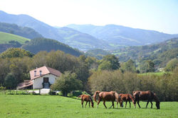 CASA RURAL Arriaran