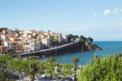 Regina's Banyuls - Top view