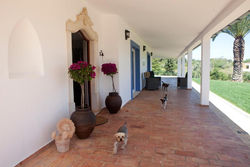 Casa da Pinga - Luxury House in Wine Farm near Beach
