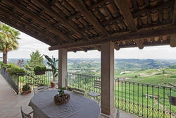 Sky and Vineyards