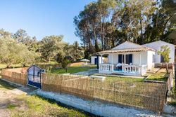 Blue House