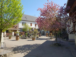 Moderne Ferienwohnung auf idyllischem Reiterhof nähe Burg Eltz