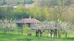 Tenuta de Maffutiis