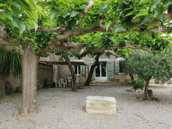 Séjour au calme au milieu des vignes