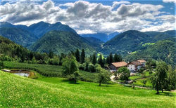 Koflhof Urlaub auf dem Bauernhof