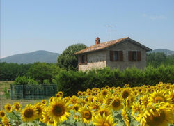 Agriturismo Gli Arrighi