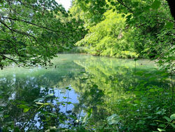 Chalet au bord de l eau