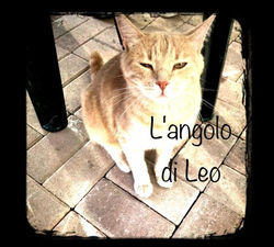 L'angolo di Leo