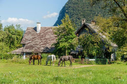 Charming blacksmith`s house Lake Bohinj