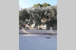 APARTMENT BILAN