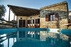 2AG252-House with a pool in Andros