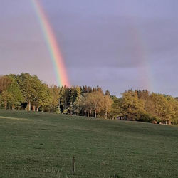 Gite chez la So ! Avec visite à la ferme