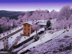 Podere Cesira Natura e Relax