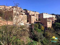 Maremma holidays- Frantoio di Campiglia