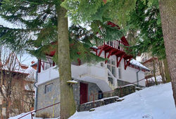 Cosy Villa in the Heart of Sinaia