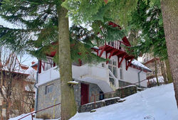 Cosy Villa in the Heart of Sinaia