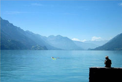 Apartments am See