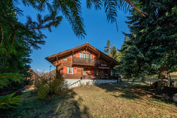 chalet BAMBI 