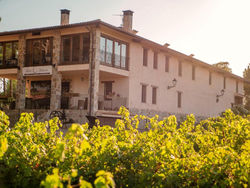 Casa Rural en Bodega. La posada de Vitis