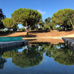 Quinta Alada - Monte alentejano c/ piscina - Lavre