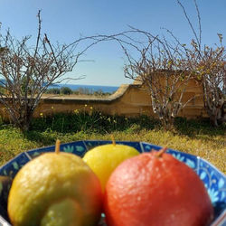 Villa Santorini