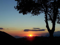 Azienda Agricola Passaro