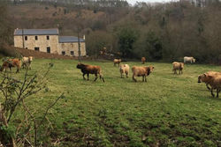 Casa Rural en Lugo. En medio de la Naturaleza.