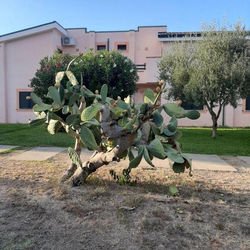 Sole e Mare appartamento nel villaggio