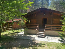 Chalet del bosco