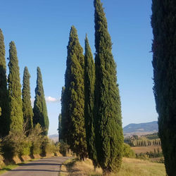 Dimora in val d'Orcia