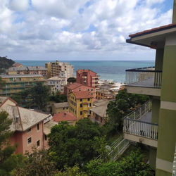 Deiva marina
