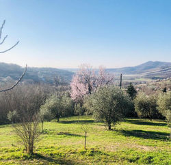 Tavern di Arqua'