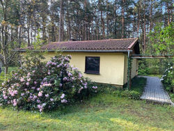 Ferienhaus im Wald