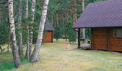 Niidupuu Camping